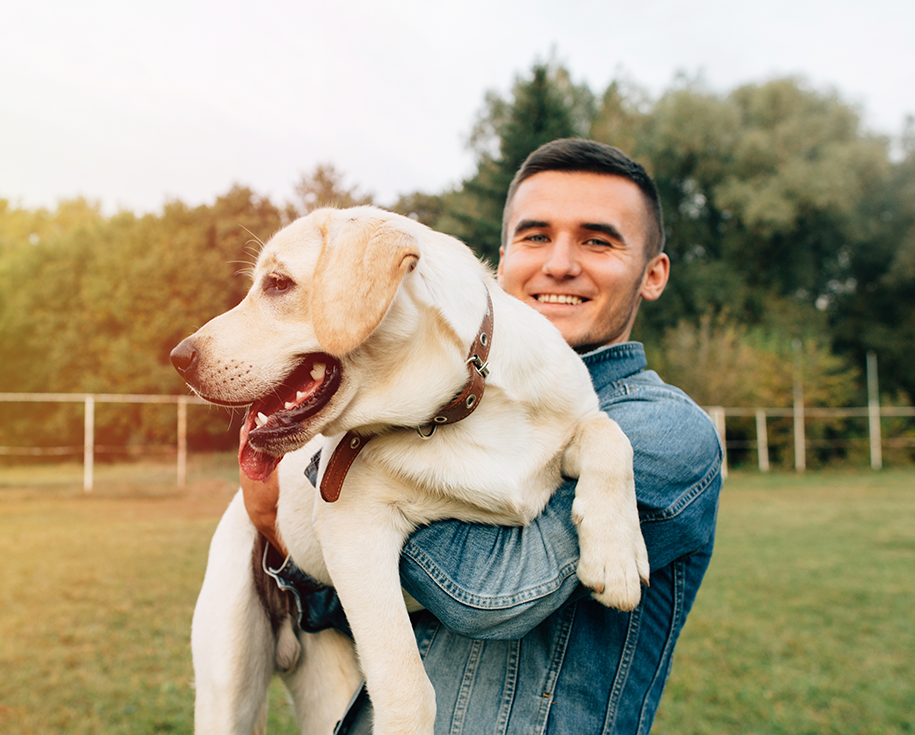 https://arfhaven.ca/wp-content/uploads/2019/07/hero_image_07.png