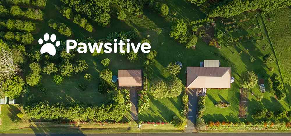 https://arfhaven.ca/wp-content/uploads/2019/07/inner_image_maps.jpg
