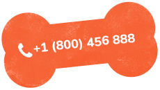 https://arfhaven.ca/wp-content/uploads/2019/07/text_02.png