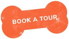 https://arfhaven.ca/wp-content/uploads/2019/07/text_03.png